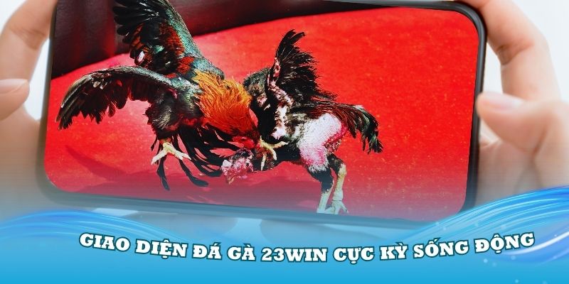 Giao diện đá gà 23Win cực kỳ sống động và đẹp mắt