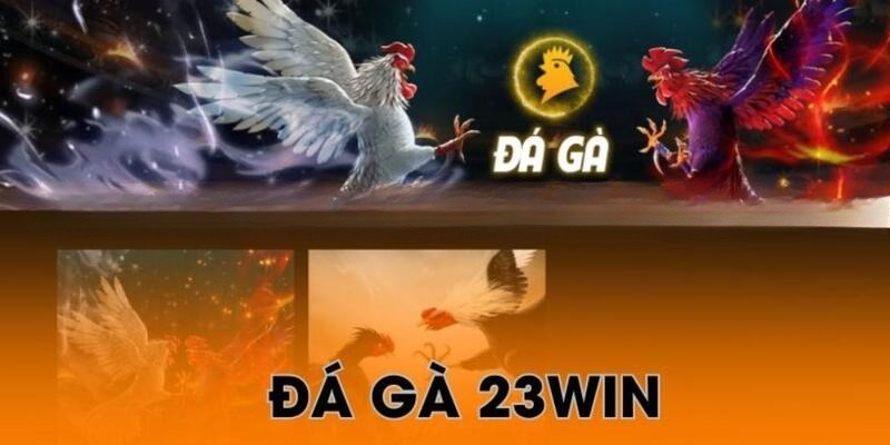 Khám phá đá gà cựa sắt 23win